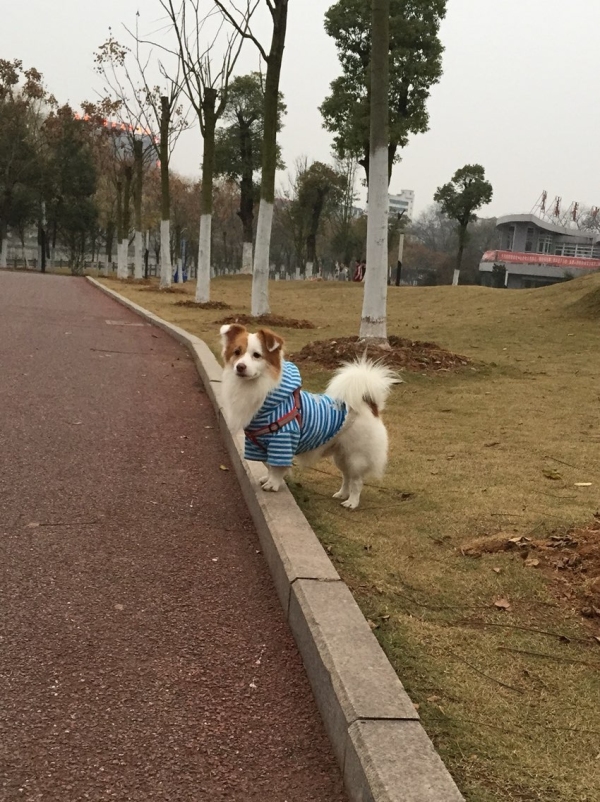 所认识的每一个人一个拥抱[拥抱][拥抱]和他们说